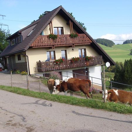 Duerrenbartleshof Breitnau Exterior foto