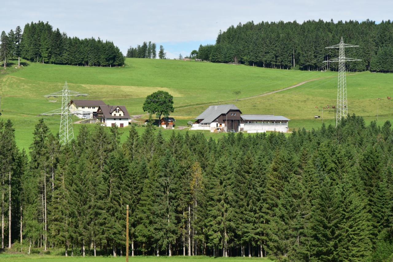 Duerrenbartleshof Breitnau Exterior foto